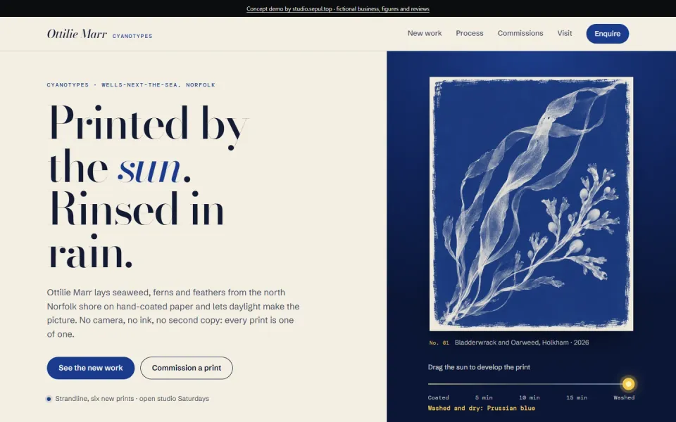 Ottilie Marr, a concept cyanotype printmaker site: a large serif headline on cream at left, a blue seaweed print on a deep blue panel at right with a sun slider beneath it.