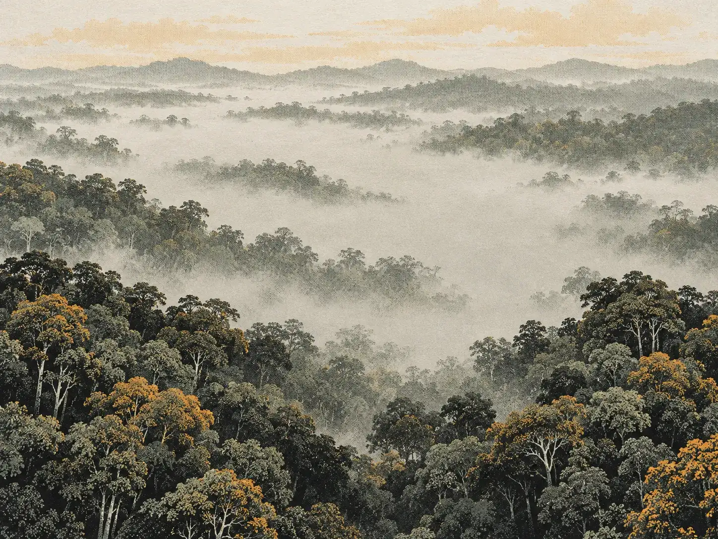 Rainforest canopy seen from above at morning, in a risograph print style.